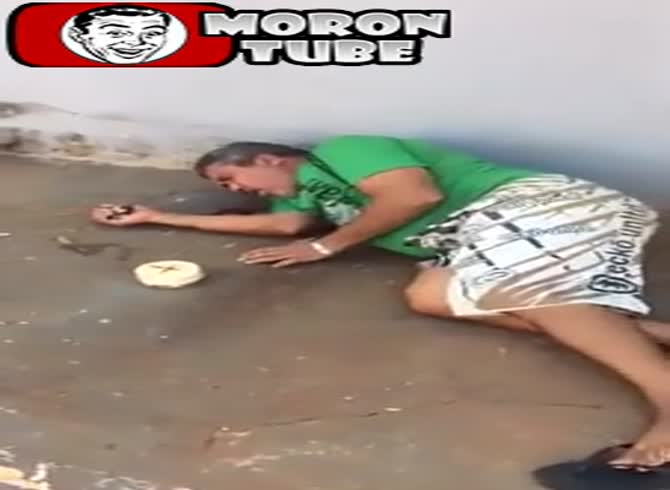 Video :An exhibitionist is attacked by a police officer (public warned)